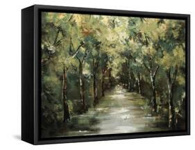 Summers Light I-Sydney Edmunds-Framed Stretched Canvas