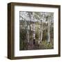 Summertide-Robert Moore-Framed Art Print