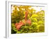 Summertime Clematis-Savanah Plank-Framed Photo