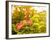 Summertime Clematis-Savanah Plank-Framed Photo