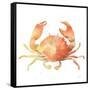 Summertime Crab-Katrina Pete-Framed Stretched Canvas