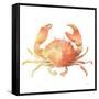 Summertime Crab-Katrina Pete-Framed Stretched Canvas