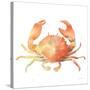 Summertime Crab-Katrina Pete-Stretched Canvas