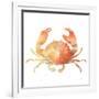 Summertime Crab-Katrina Pete-Framed Art Print