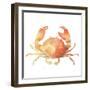 Summertime Crab-Katrina Pete-Framed Art Print