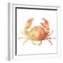 Summertime Crab-Katrina Pete-Framed Art Print