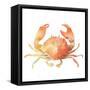 Summertime Crab-Katrina Pete-Framed Stretched Canvas
