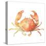 Summertime Crab-Katrina Pete-Stretched Canvas