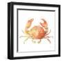 Summertime Crab-Katrina Pete-Framed Art Print