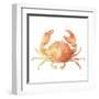 Summertime Crab-Katrina Pete-Framed Art Print