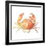 Summertime Crab-Katrina Pete-Framed Art Print