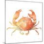 Summertime Crab-Katrina Pete-Mounted Art Print