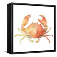 Summertime Crab-Katrina Pete-Framed Stretched Canvas