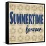 Summertime Forever-Tammy Kushnir-Framed Stretched Canvas