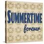 Summertime Forever-Tammy Kushnir-Stretched Canvas