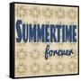 Summertime Forever-Tammy Kushnir-Framed Stretched Canvas