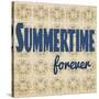 Summertime Forever-Tammy Kushnir-Stretched Canvas