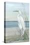 Summertime Heron II-Sally Swatland-Stretched Canvas