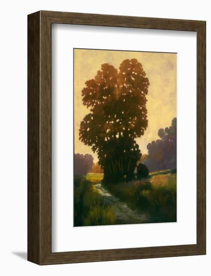 Summertime II-Graham Reynolds-Framed Art Print