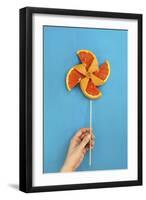 Summertime Pinwheel-Dina Belenko-Framed Giclee Print