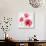 Summertime Poppies III-Irina Trzaskos Studios-Giclee Print displayed on a wall