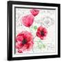 Summertime Poppies IV-Irina Trzaskos Studios-Framed Giclee Print