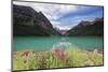 Summertime Scenic View  at Lake Louise, Alberta, Canada-George Oze-Mounted Photographic Print