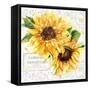 Summertime Sunflowers I-Irina Trzaskos Studios-Framed Stretched Canvas