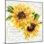 Summertime Sunflowers I-Irina Trzaskos Studios-Mounted Giclee Print
