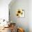 Summertime Sunflowers II-Irina Trzaskos Studios-Giclee Print displayed on a wall