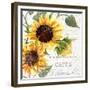 Summertime Sunflowers II-Irina Trzaskos Studios-Framed Giclee Print