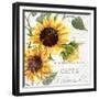 Summertime Sunflowers II-Irina Trzaskos Studios-Framed Giclee Print