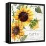 Summertime Sunflowers II-Irina Trzaskos Studios-Framed Stretched Canvas