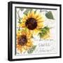 Summertime Sunflowers II-Irina Trzaskos Studios-Framed Giclee Print