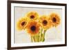 Summertime-Teo Rizzardi-Framed Art Print