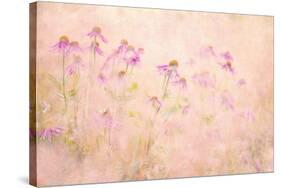 Summertime-Jacky Parker-Stretched Canvas