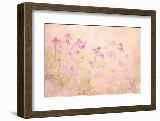 Summertime-Jacky Parker-Framed Photographic Print