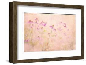 Summertime-Jacky Parker-Framed Photographic Print