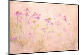 Summertime-Jacky Parker-Mounted Photographic Print