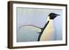 Summertime-James W. Johnson-Framed Giclee Print