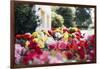 Summery bed of Persian buttercups in the Ravensberger park in Bielefeld.-Nadja Jacke-Framed Photographic Print