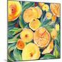 Summery Citrus-Kristy Rice-Mounted Art Print