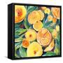 Summery Citrus-Kristy Rice-Framed Stretched Canvas