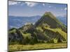 Summery mountain landscape in the Bernese Oberland-enricocacciafotografie-Mounted Photographic Print