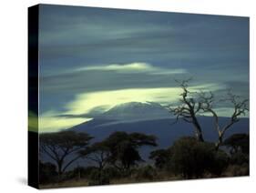 Summit of Mount Kilimanjaro, Amboseli National Park, Kenya-Paul Souders-Stretched Canvas