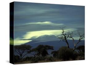 Summit of Mount Kilimanjaro, Amboseli National Park, Kenya-Paul Souders-Stretched Canvas