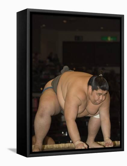 Sumo Wrestler Competing, Grand Taikai Sumo Wrestling Tournament, Kokugikan Hall Stadium, Tokyo-Christian Kober-Framed Stretched Canvas
