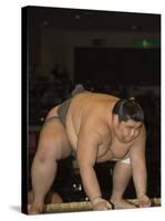 Sumo Wrestler Competing, Grand Taikai Sumo Wrestling Tournament, Kokugikan Hall Stadium, Tokyo-Christian Kober-Stretched Canvas