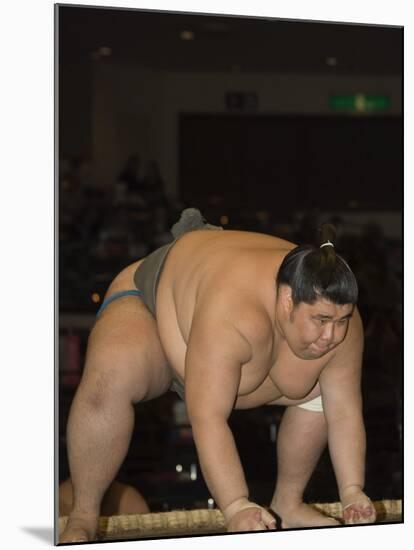 Sumo Wrestler Competing, Grand Taikai Sumo Wrestling Tournament, Kokugikan Hall Stadium, Tokyo-Christian Kober-Mounted Photographic Print