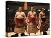 Sumo Wrestler-null-Stretched Canvas